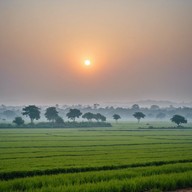 morning light captured in indian classical style