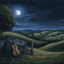 a gentle bluegrass instrumental evoking reflection under starlit skies