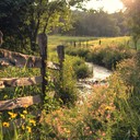 melodic polka tunes evoke images of serene meadows