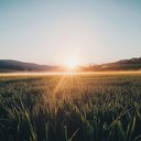 marching drums evoke battlefield sunrise