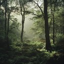 delicate celtic tune evoking ancient forest tranquility.