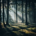 peaceful instrumental rock with calming experimental influences